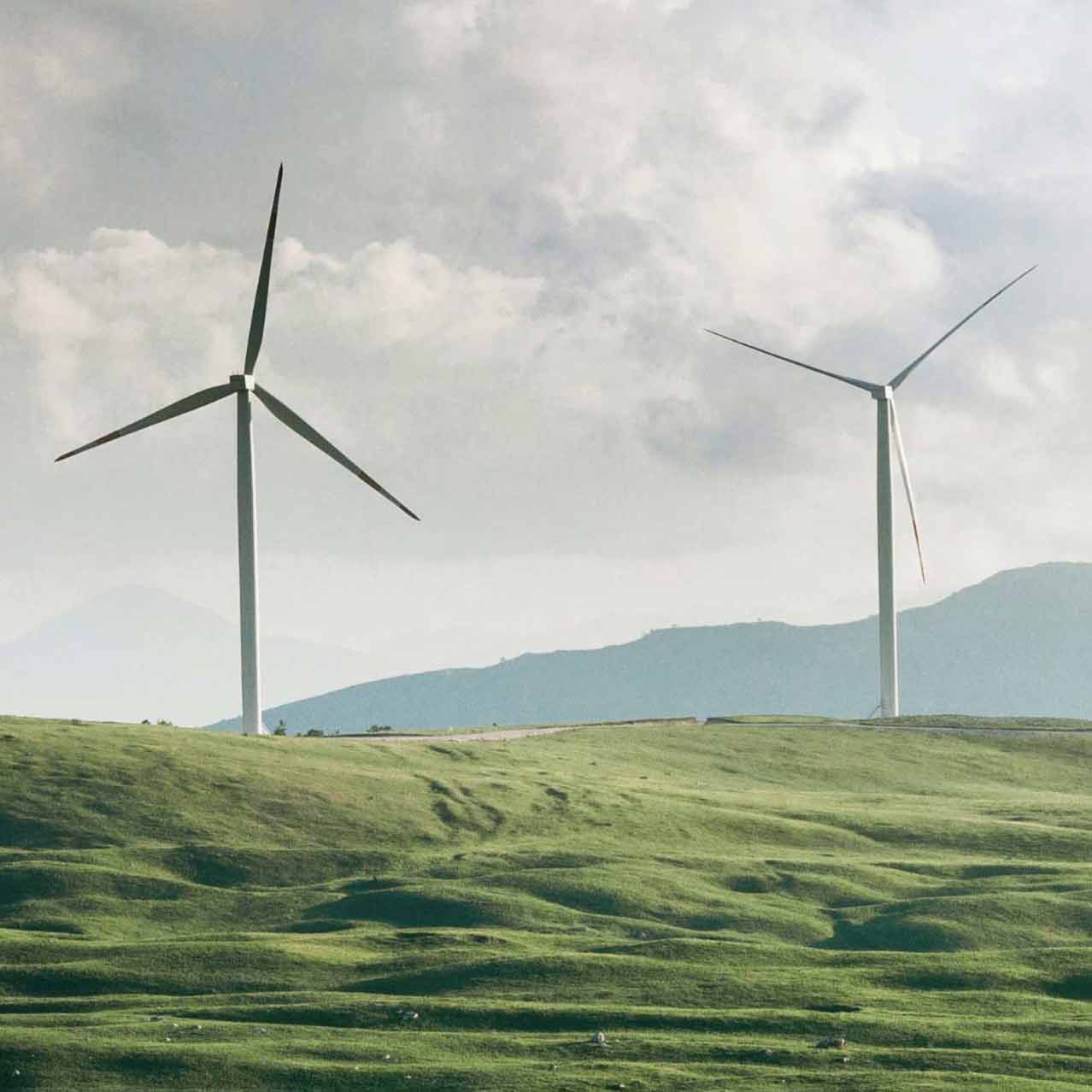 Wind Turbines in Field Wind Turbines in Field